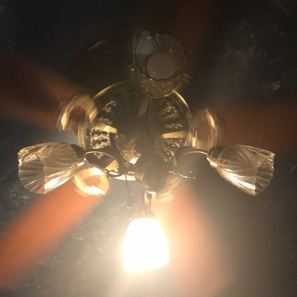 Meet your Posher, Aaron - Picture 1 of 1